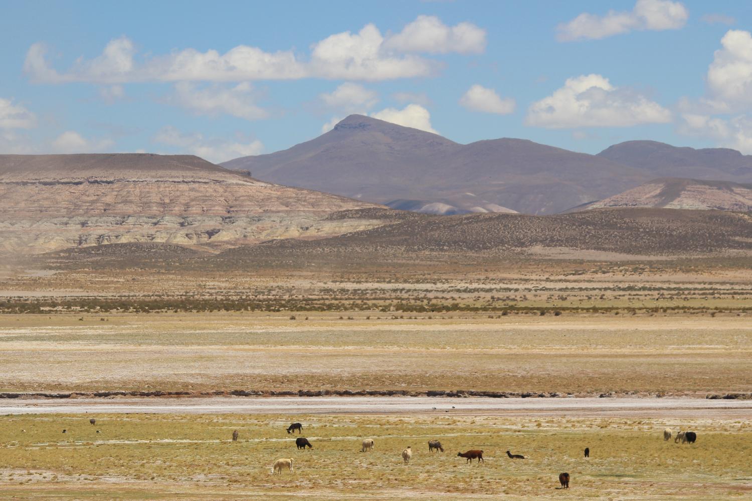 Bolivie