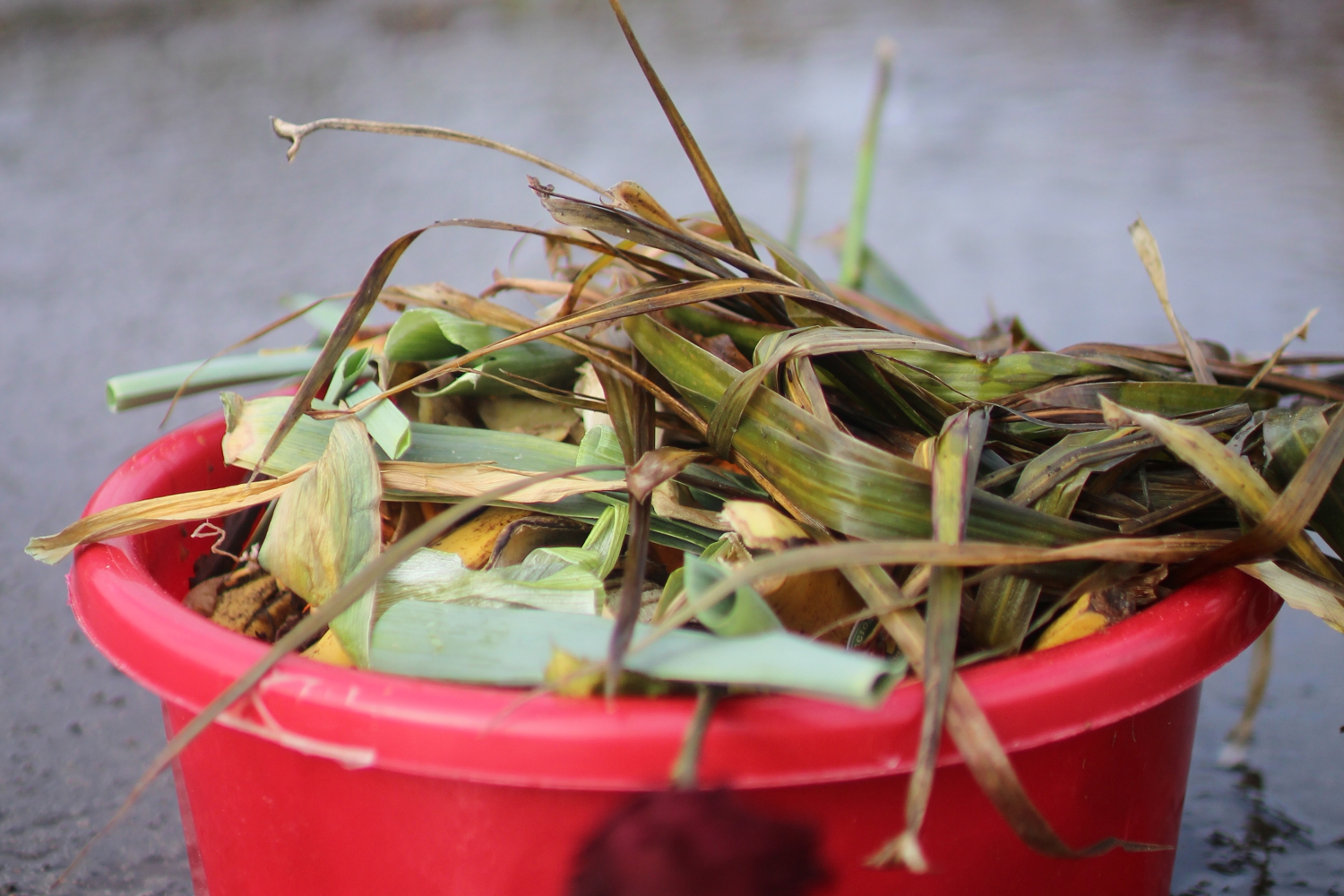 [ Zéro déchet ] composter sans composteur