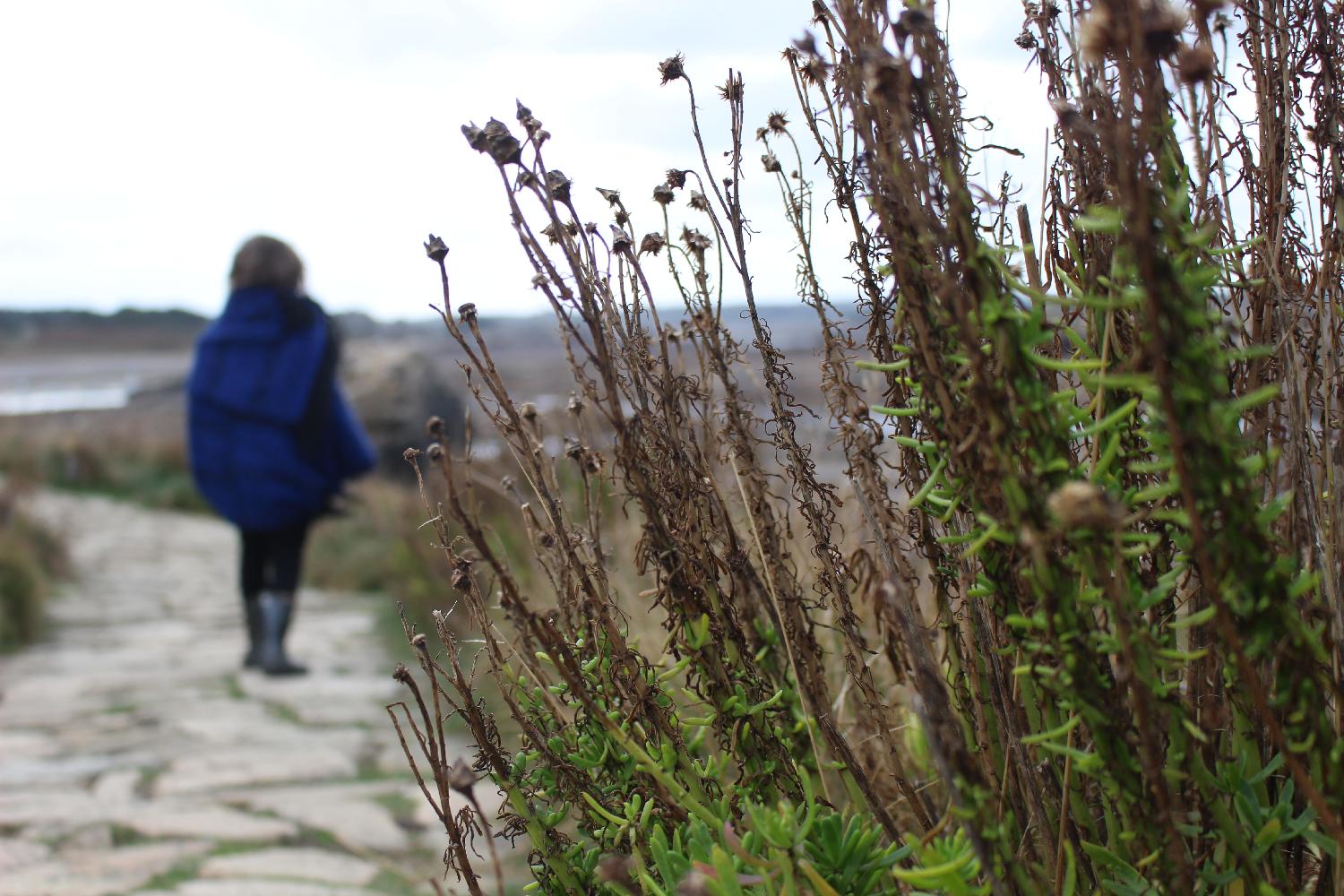 roadtrip en Bretagne avec ma fille