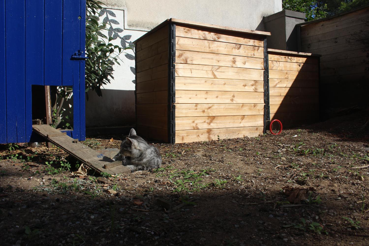 [ Zéro déchet ] Le compost de nos toilettes sèches