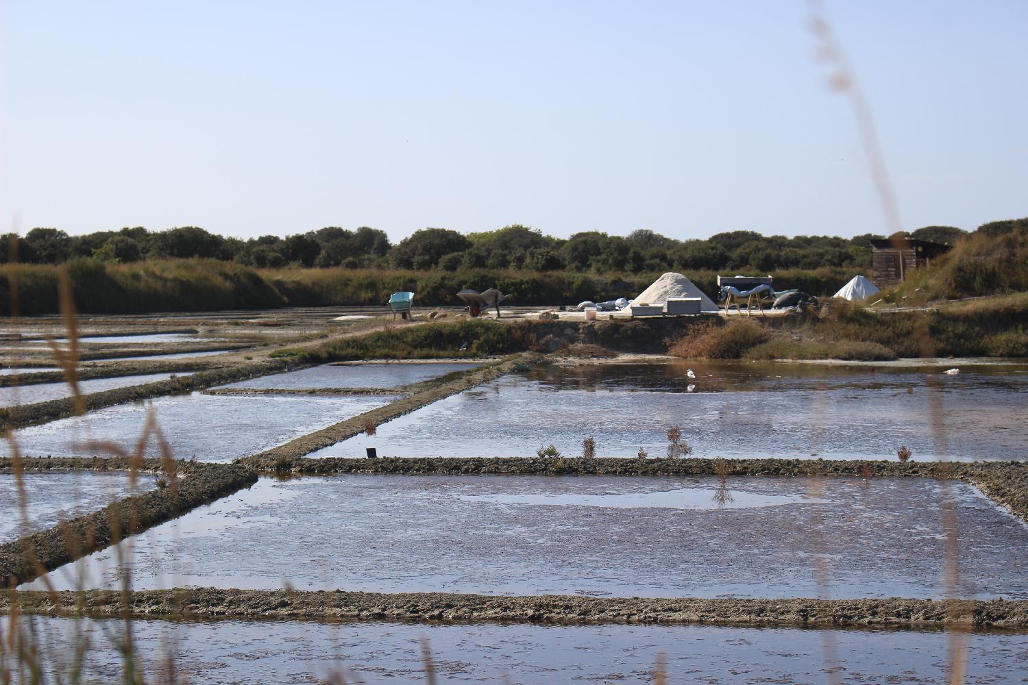 [ Mercredi ] à Guérande